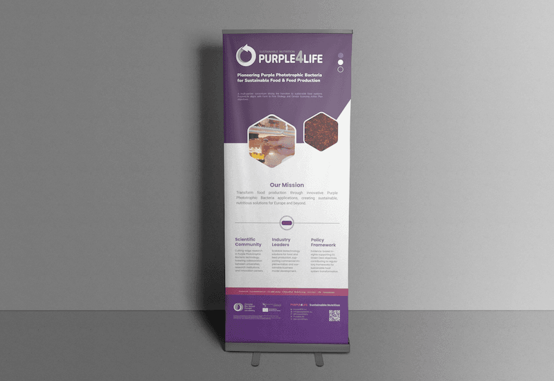 Roll-up Banner