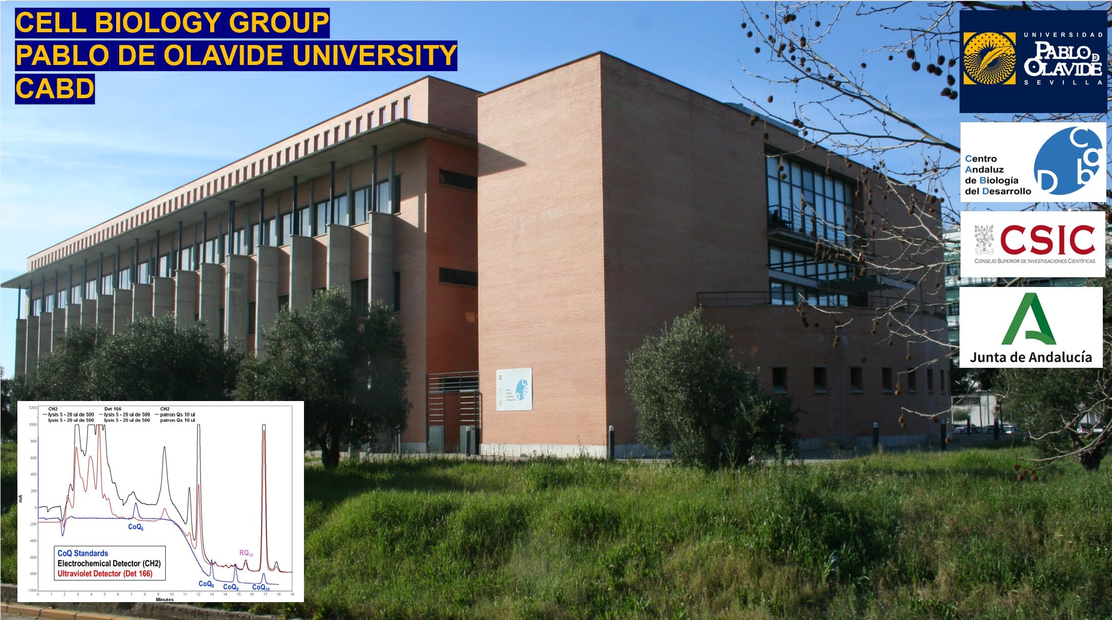 Pablo de Olavide Group