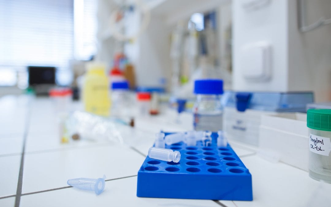 Anna Gvozdjakova Presents PURPLE4LIFE at Comenius University