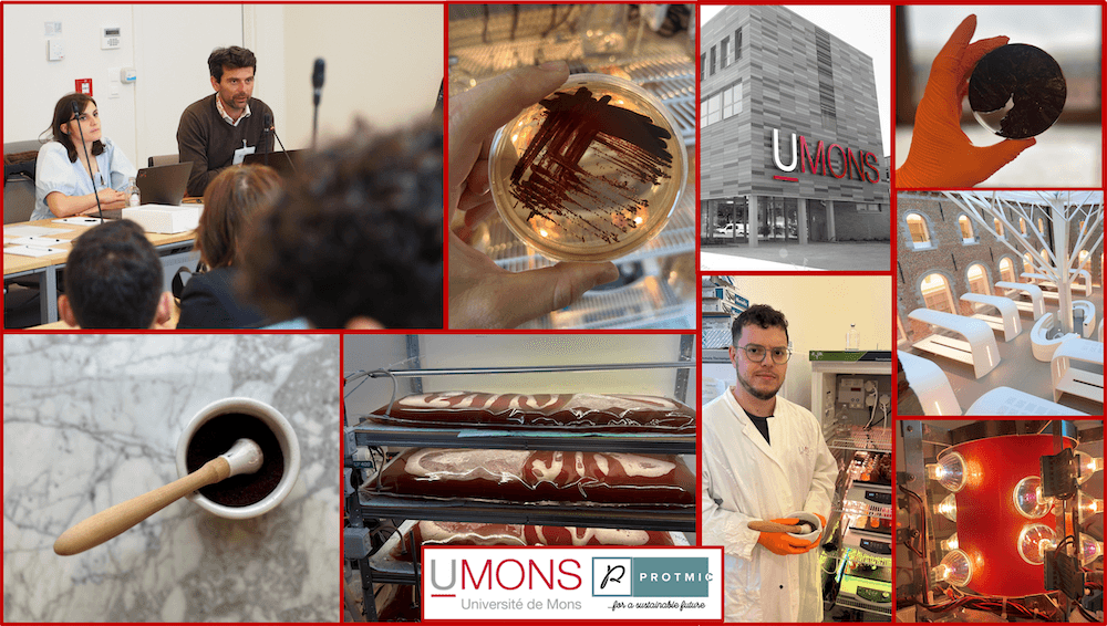 Meet our partner: Université de Mons (UMONS). Presentation of their role and expertise in Purple4Life