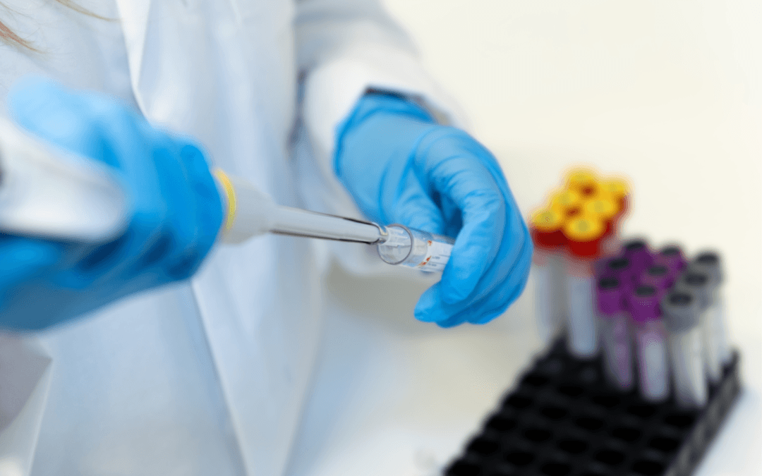 Project Technology Highlight: UCLouvain expertise