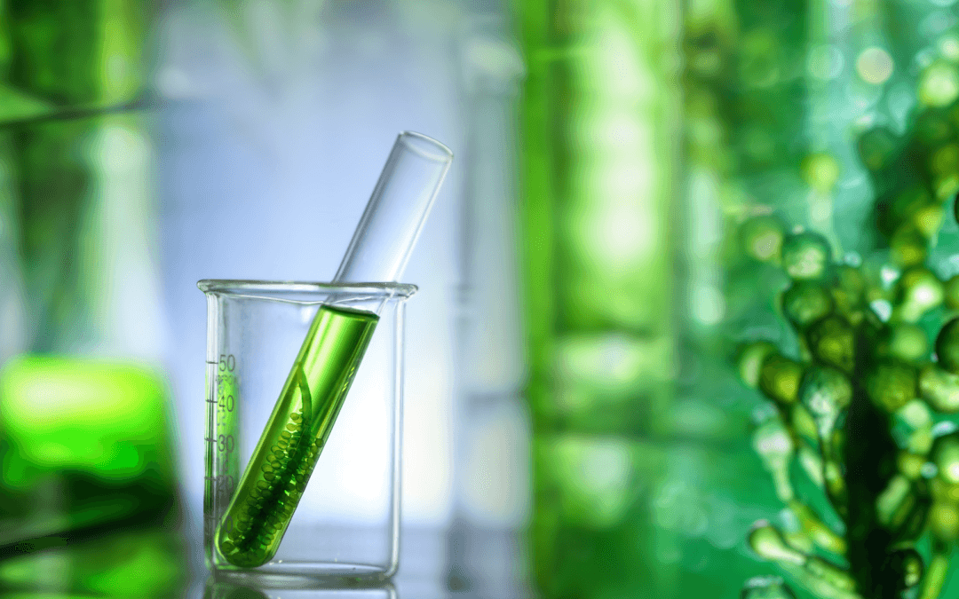 Project Technology Highlight: Imperial College London expertise