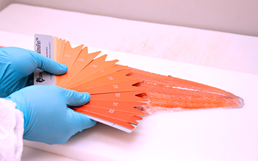 Project Technology Highlight: Nofima’s expertise