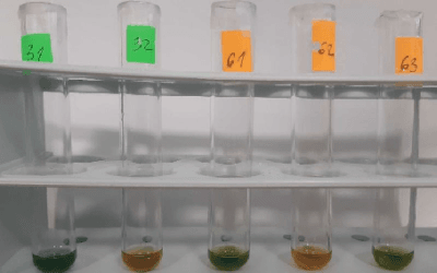 Project Technology Highlight: Comenius University expertise