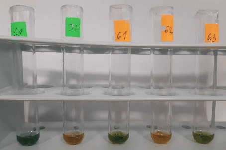 Project Technology Highlight: Comenius University expertise