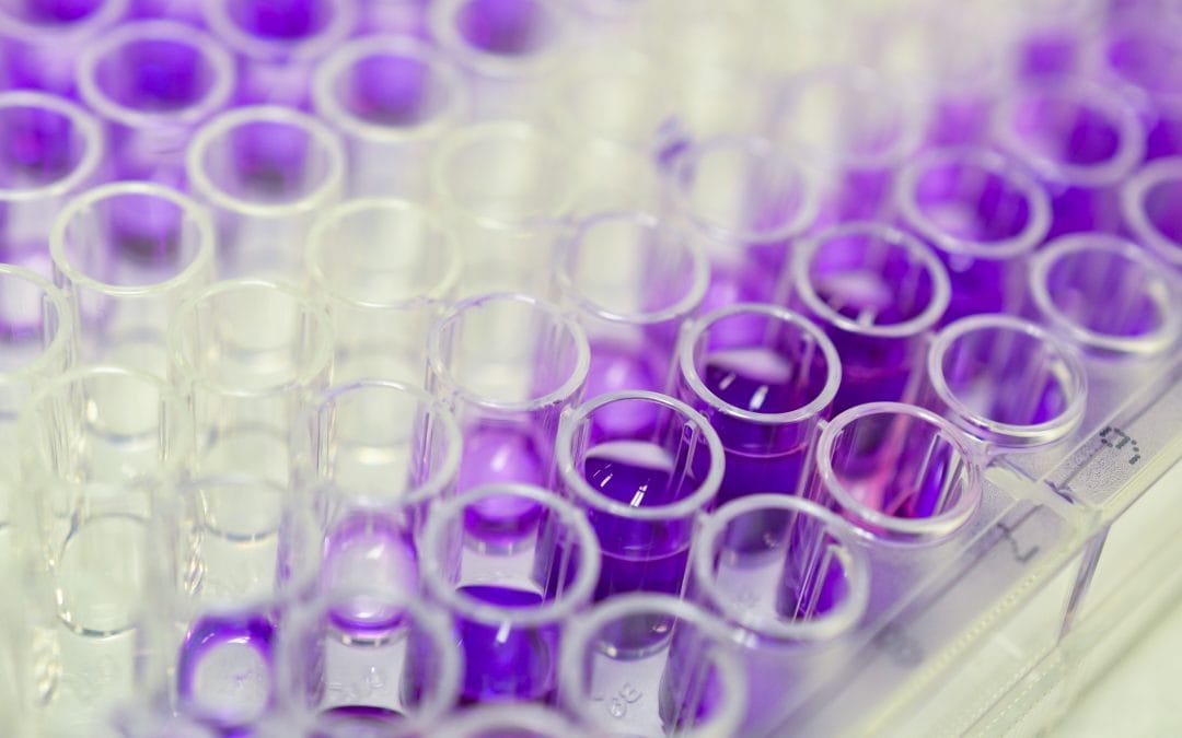 Project Technology Highlight: CNR’s expertise