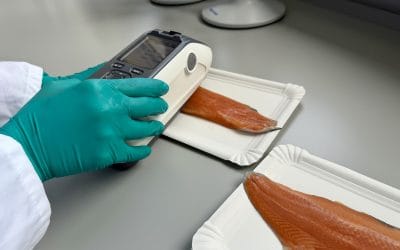 Project Technology Highlight: Fraunhofer IMTE’s Expertise in Evaluating PPB as a Functional Feed Ingredient for Salmonids