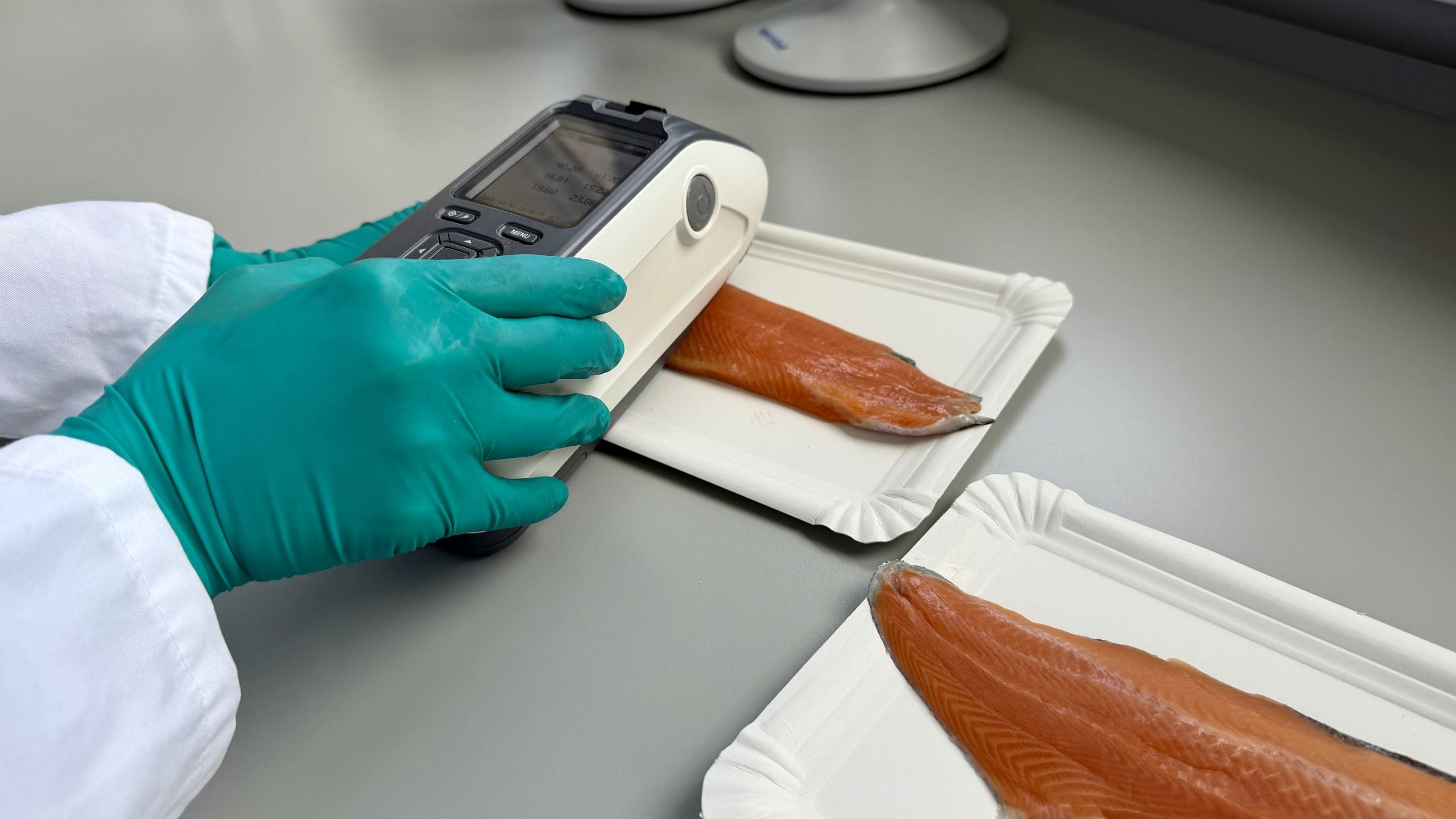 Laboratory analysis of salmonid fillets using a handheld device to measure quality parameters such as color and composition.