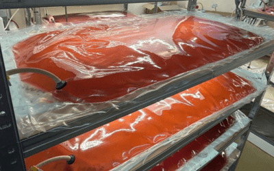 Project Technology Highlight: Scaling Up Purple Bacteria Production at UMONS