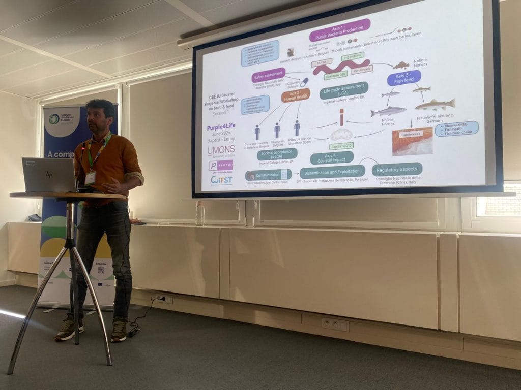 CBE JU Cluster Workshop on Bio-Based Food and Feed Solutions