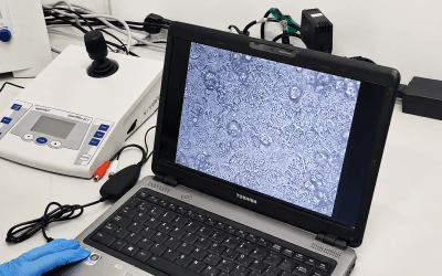 CNR Advances Food Safety Research on PPB Strains with Novel Cell-Based Testing