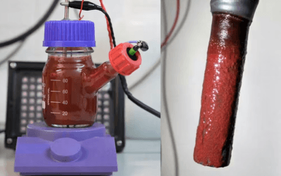 PURPLE4LIFE Research Featured in The Conversation España: Exploring How Bacteria Can Produce Sustainable Antioxidants