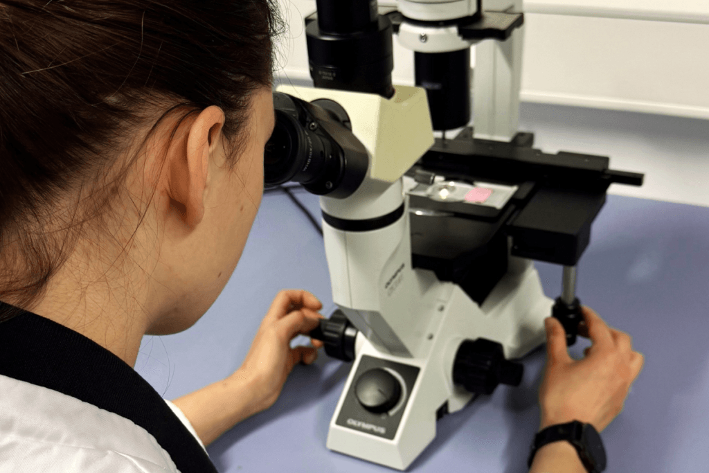Researcher in a laboratory using a microscope to examine a prepared sample on a glass slide. The scientist adjusts the microscope controls while observing the specimen in a clean research environment.