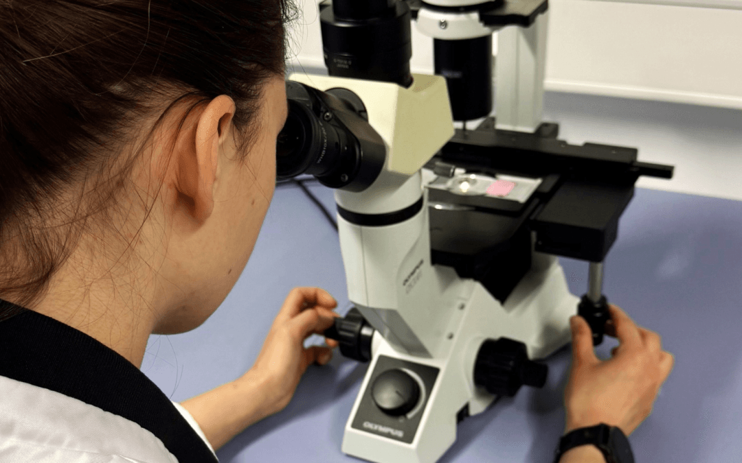 Project technology highlight: Fraunhofer IMTE’s expertise in examining PPB feed implementation on gut health of salmonids